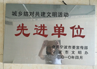 彩神(Vll)股份有限公司 - 追求健康一起成长